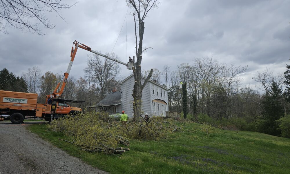 Spartek Tree Service LLC