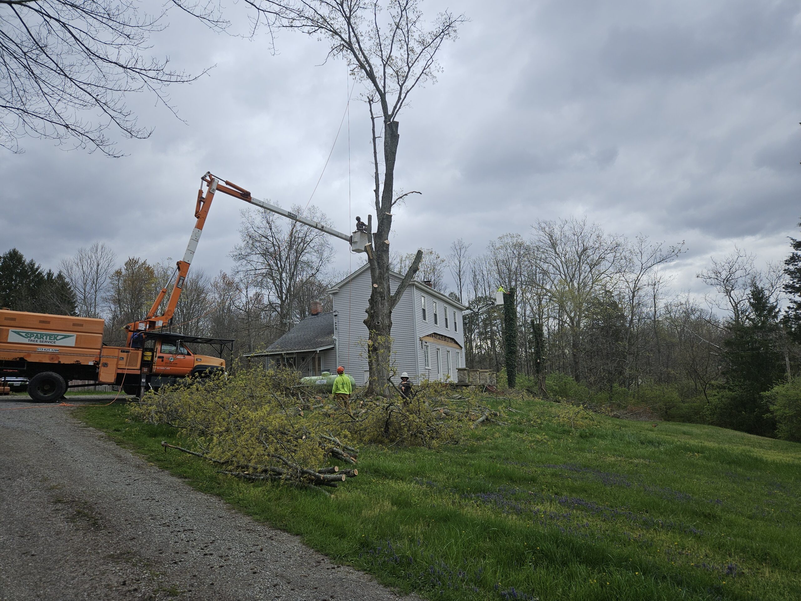 Spartek Tree Service LLC