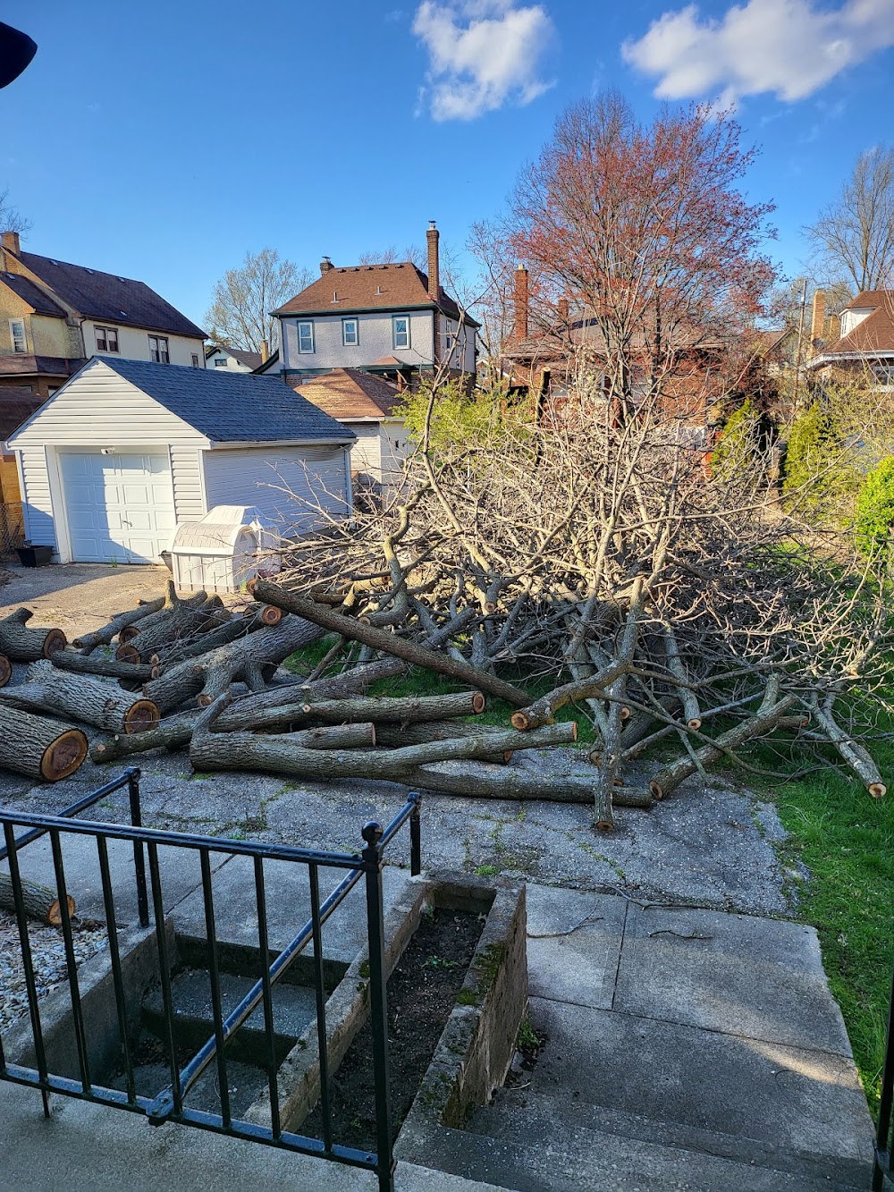 ArborCare Tree Service