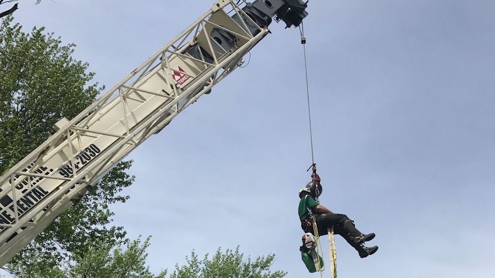 Arbspec Tree Specialists