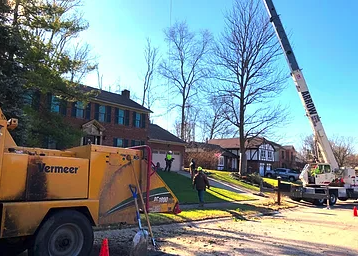 Brown’s Tree Service