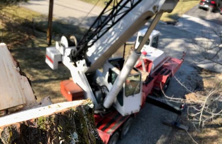 Florence Family Tree Care