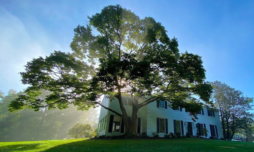 Gregory Forrest Lester Inc