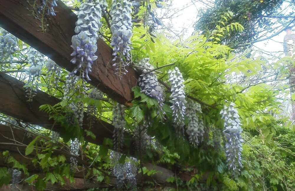 Mark Webber’s Landscaping Company