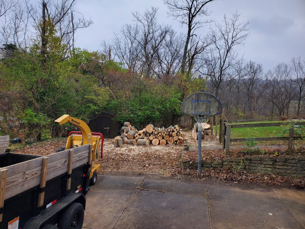 Paul’s Tree Removal, LLC