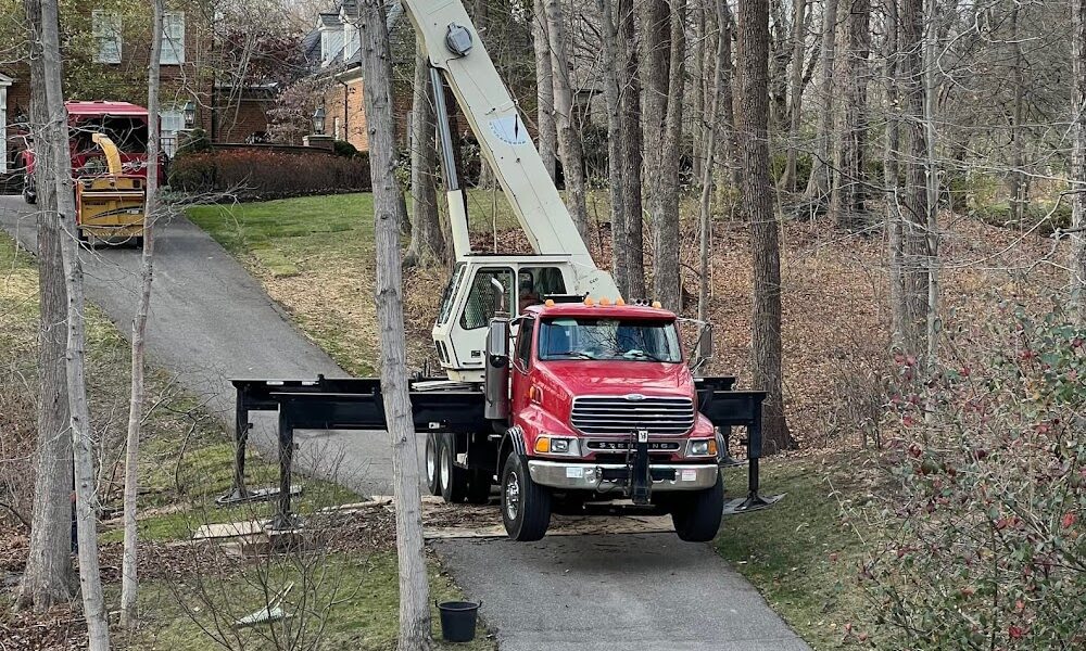 Taylor’s Tree & Landscaping