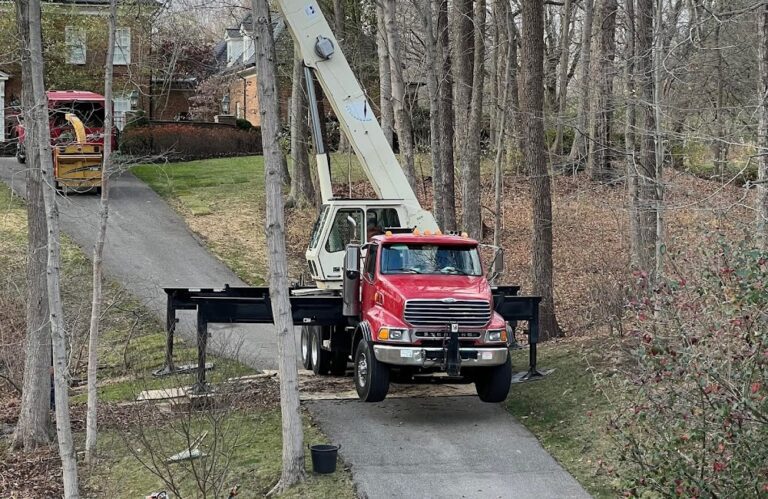 Taylor’s Tree & Landscaping