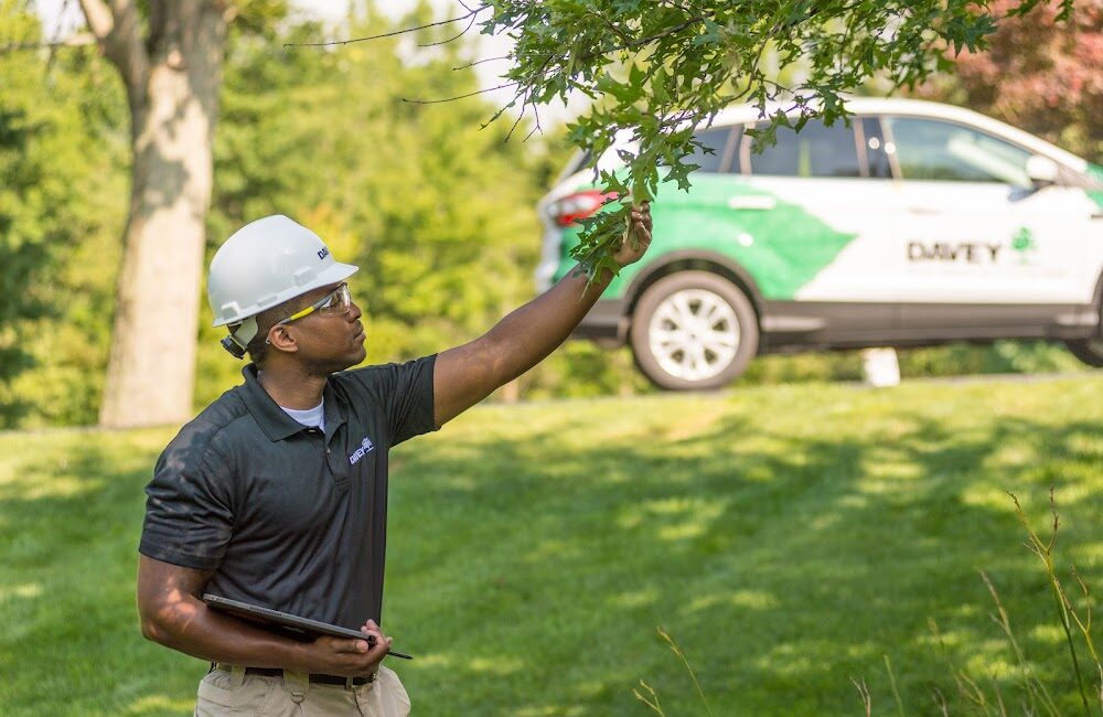 The Davey Tree Expert Company
