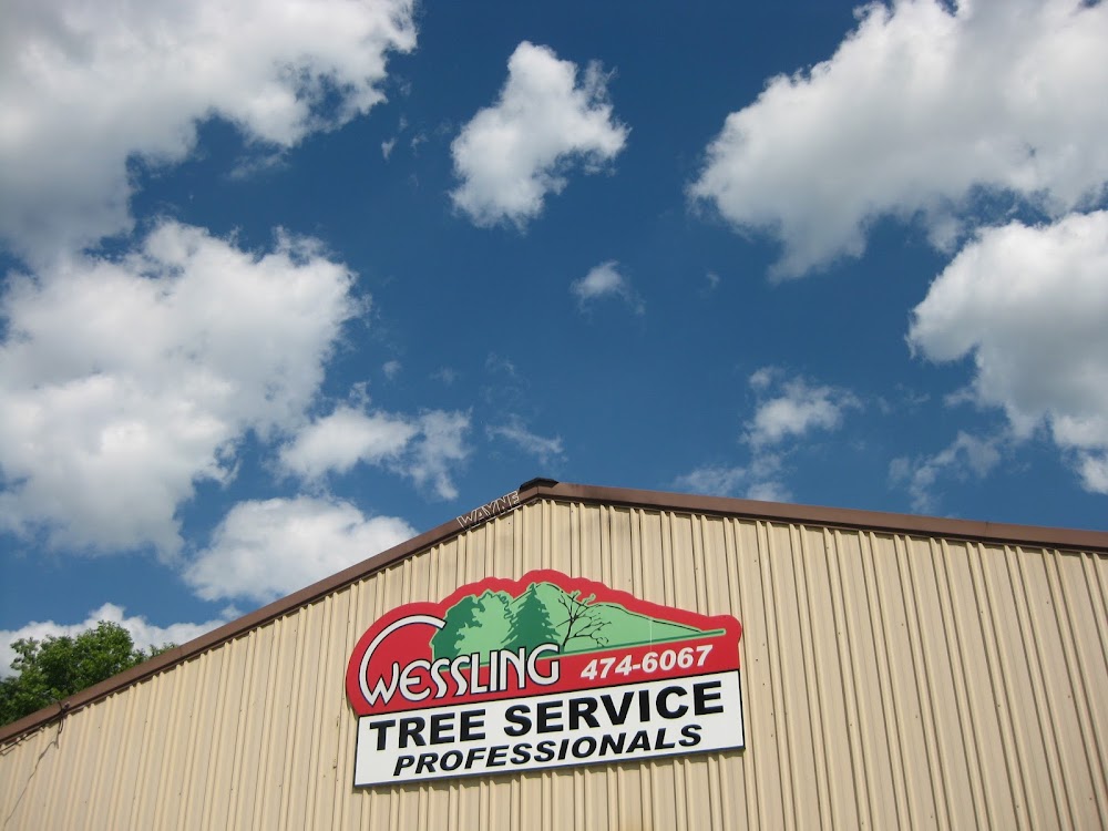 Wessling Tree Service