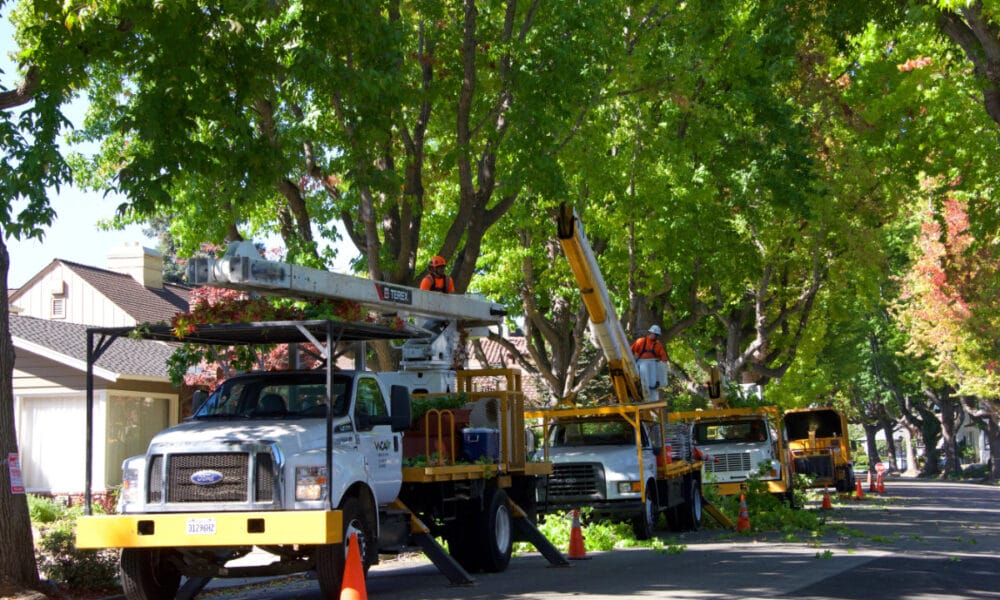 residential tree care in cincinnati banner