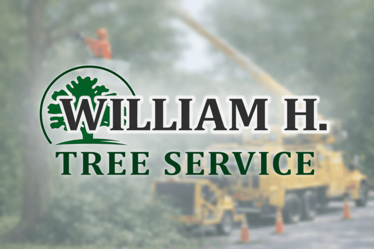 William H Tree Service
